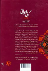 من و مولانا